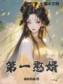 第一憨婿