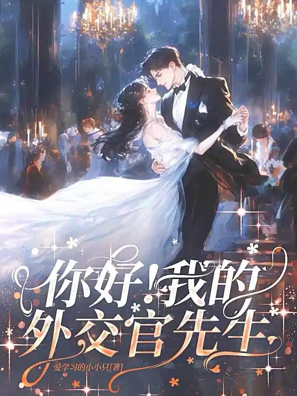 你好！我的外交官先生