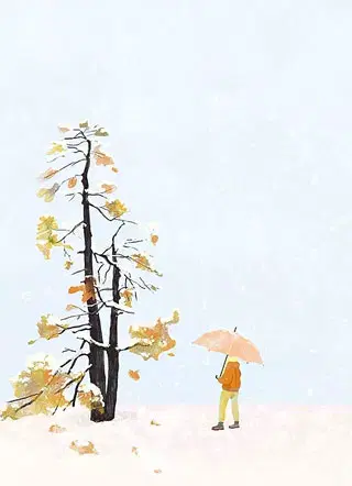 战北望宋惜惜