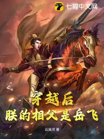 穿越后朕的相父是岳飞？！